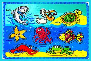 Sea animals Flashcards